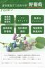 Чай из дикого винограда 3 г x 30 пакетиков x набор из 2 пакетиков Произведено в префектуре Токусима Натуральный материал дикий виноград здоровье дикого винограда Полезный чай