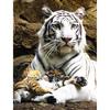 Full 5D Diy Diamond Painting Hug The Little Tiger Embroidery Cross Stitch Home Decor Handmade Gift