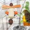 Cage Accessory Play Equipment Unique Bird Perch Stand Solid Chewing Toy