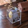 Tennis Ball Golf Ball UV Protection Baseball Display Box Storage Box 9 Inch Baseball Baseball Box