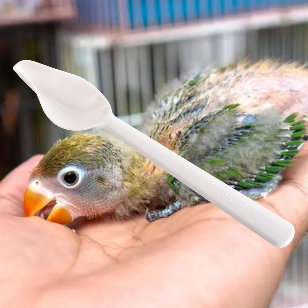 Long Handle Bird Milk Powder Feeder Heat-resisting Chicks Medicine Spoon  For Cockatiel Parrots