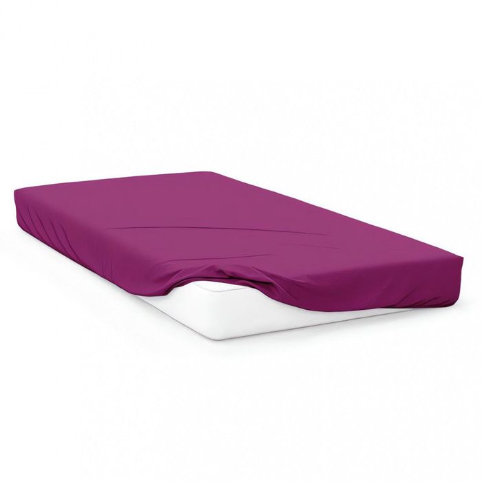 Fitted Sheet 90x200 Cm In 57 Thread Count Cotton SOLEIL D'OCRE Blackcurrant