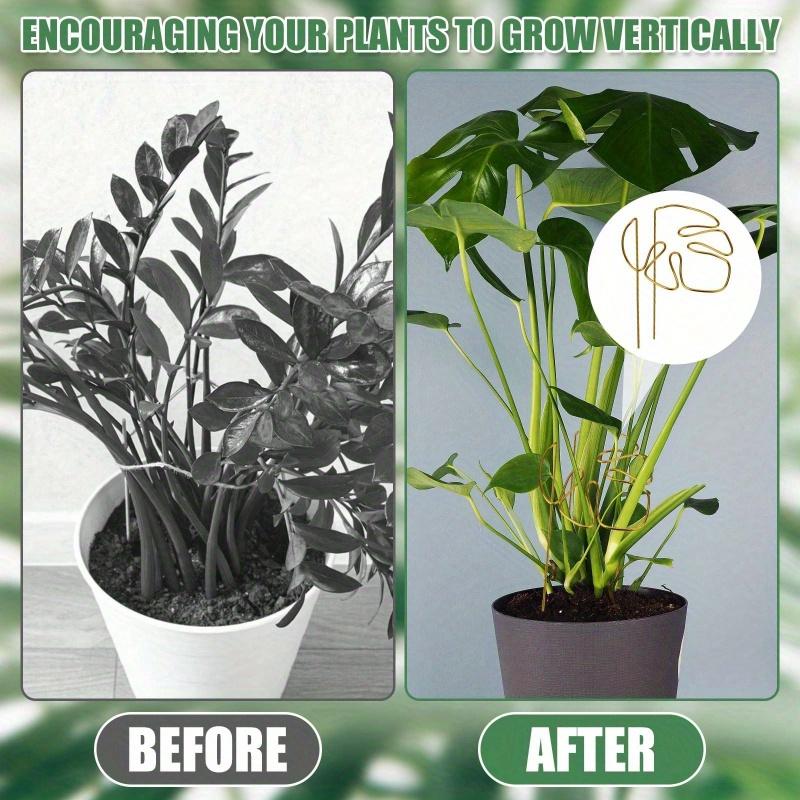 Reusable Metal Climbing Plant Stems Support Stake, Unique Design Plant Stake, Garden Decor, Flower Pot Decor, Plant Trellis, Ideal for Healthy Growth