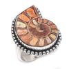 Natural Ammonite Fossil Gemstone 925 Sterling Silver Jewelry Ring Size 7 J3y71