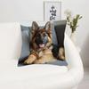 Декоративная наволочка для щенка немецкой овчарки