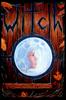Книга Witch