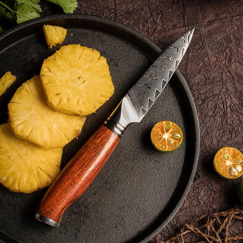 YARENH Paring Knives Japanese 73 Layer Damascus Steel Handmade Premium Dalbergia Handle Sharp Small Knife for Kitchen Cutting Fruit Peeling