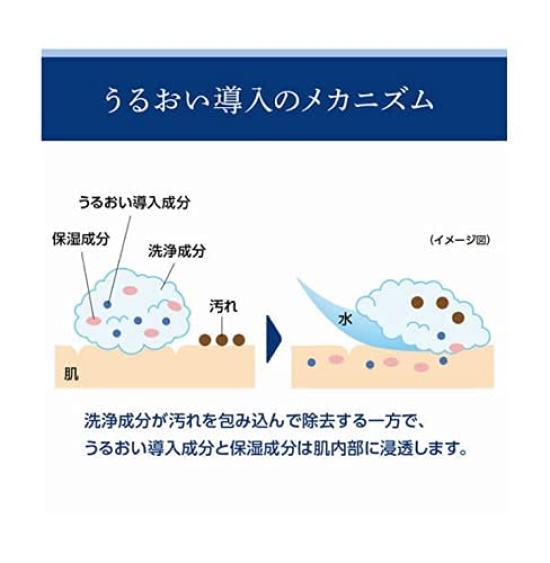 Senka Perfect Whip nx набор из 6 предметов