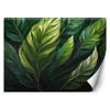 Wallpaper Green Leaves