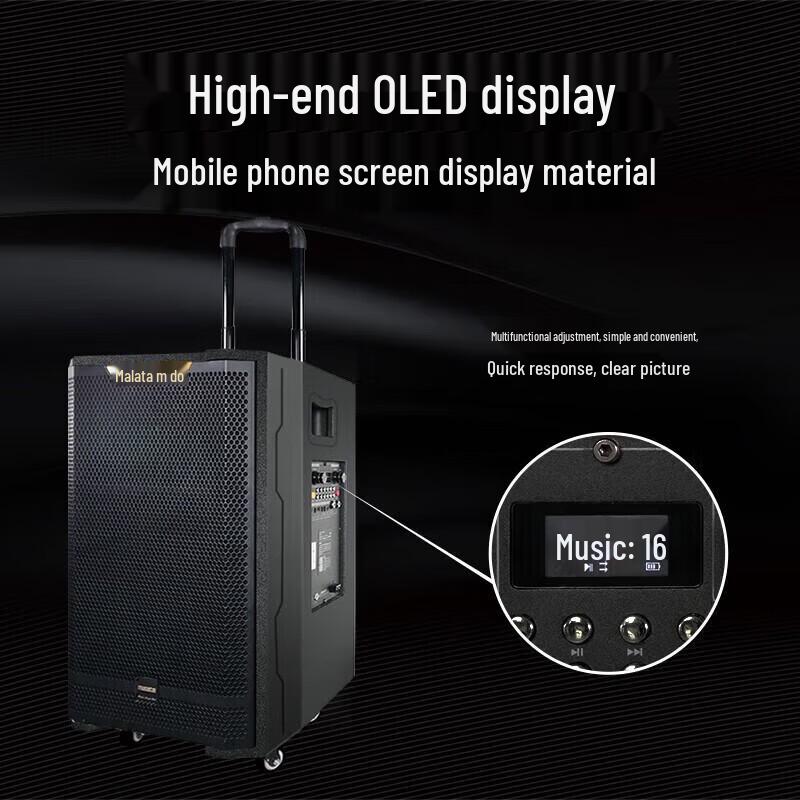 Malata Portable Outdoor KTV Trolley Speaker CN plug (adapter included)
