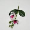 Butterfly Orchid Simulated Flower For Bedroom And Event Decoration With Realistic Design For Photography Props