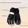 Thicken Winter Ski Gloves with Storage Bag Card Holder  Gloves Snowboard Gloves  Girls