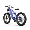 DUOTTS E26 Electric Bicycle 750W Brushless Motor 48V20AH Lithium Battery Mountain Electric Bike 26*4.0-In Fat Tire Aldult E-bike