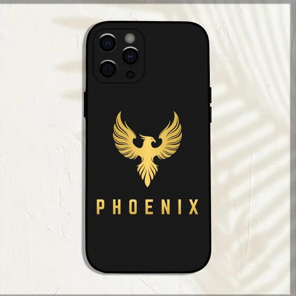 Cool Phoenix Nirvana Phone Case For iPhone 16,15,14,13,12,11,Pro,X,XS,Max,XR,Plus,Mini Soft Black Cover