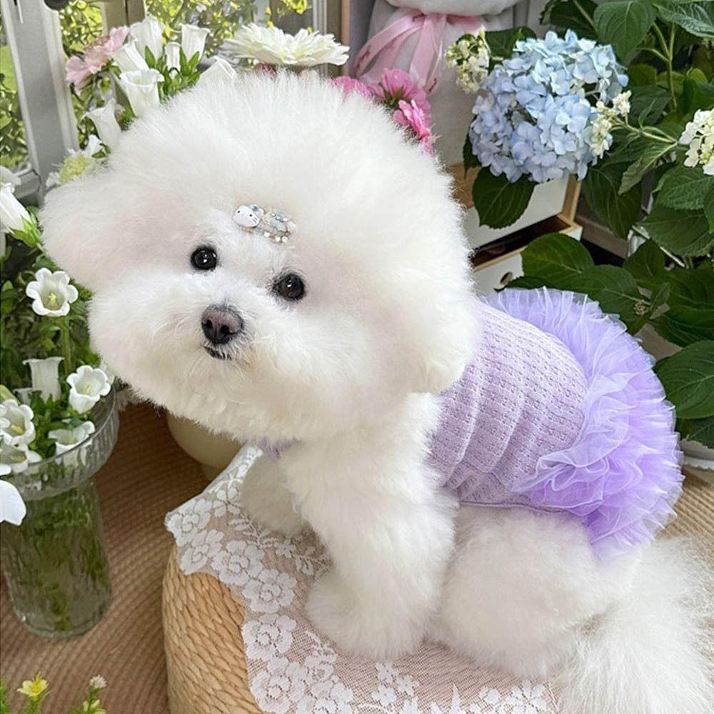 Thin Design Dog   Princess Dress Lace Cat Dress Cute Dog Summer Dress  for Small Medium Dog