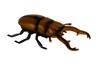 Doyusha IRC Running Insect Series Sawtooth Stag Beetle Electric Infrared Control No. 9996-G