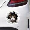 2 Pieces 12x12cm Realistic 3D Effect Peeking Cat Car Bumper Window Sticker for Truck
