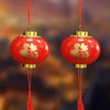 Yousheng Traditional Chinese New Year Lantern Fu Character Print Spring Festival Lantern with Tassel Holiday Decoration