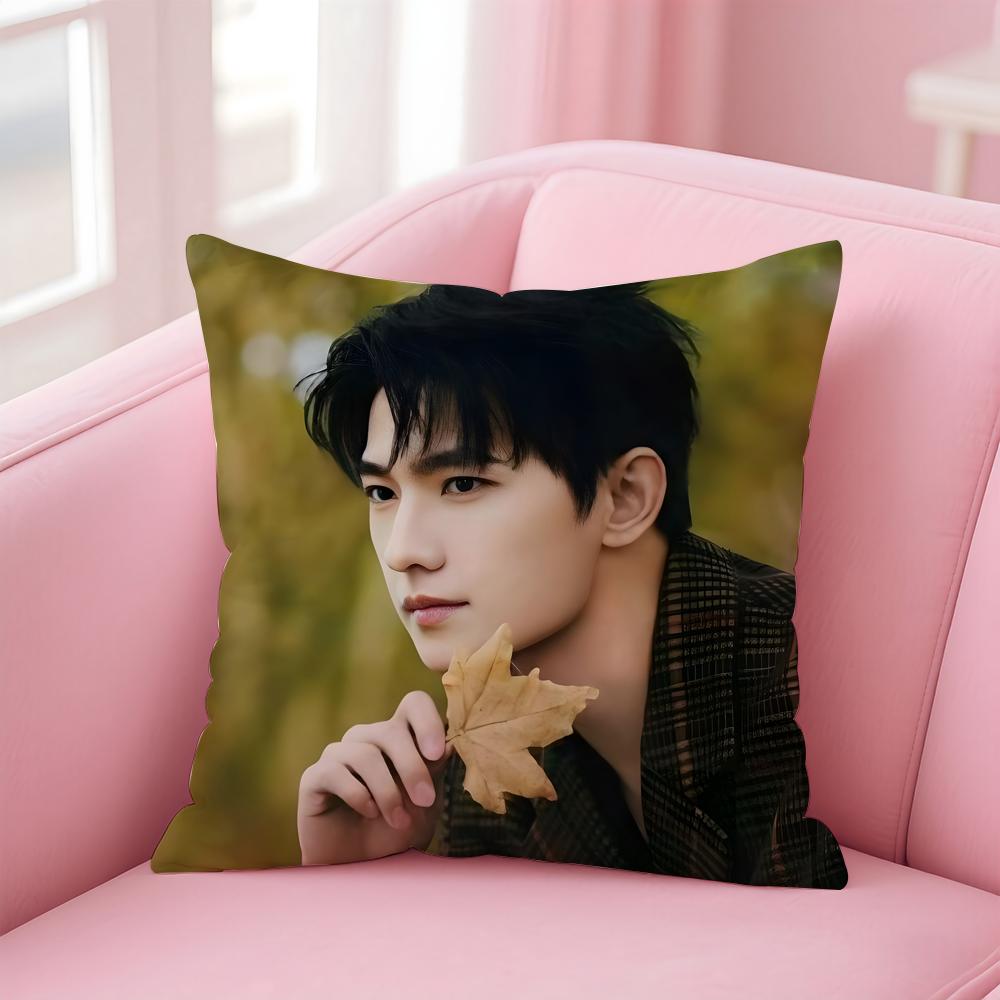 actor handsome YYang Yang Cushion Cover Pillow Case Soft Skin Friendly Fabric Concealed Zipper
