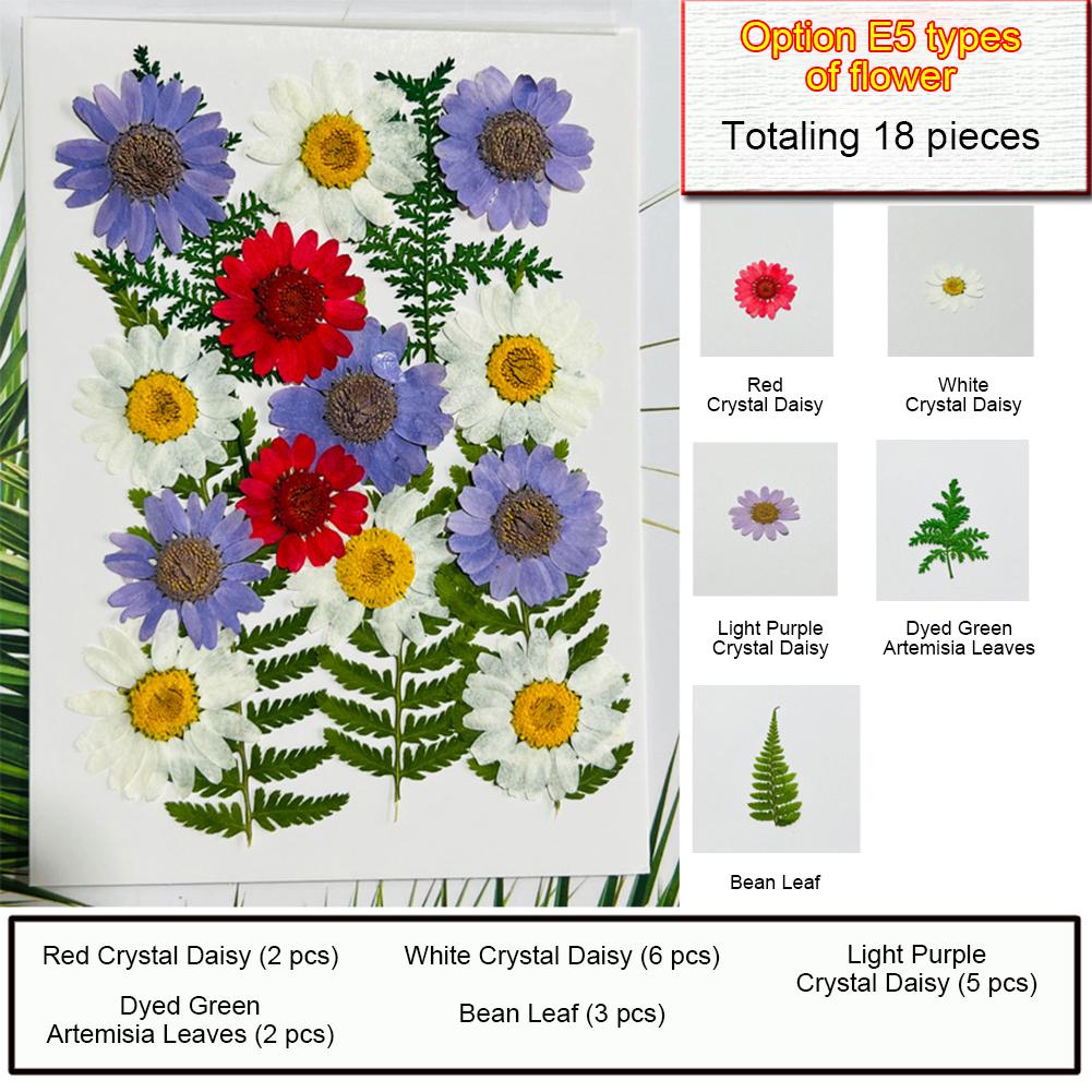 Dried Pressed Flowers For Resin Crafts, Flower Natural Dried Fillers, Assorted Real Natural Bulk Dry Floral Leaves For Scrapbook