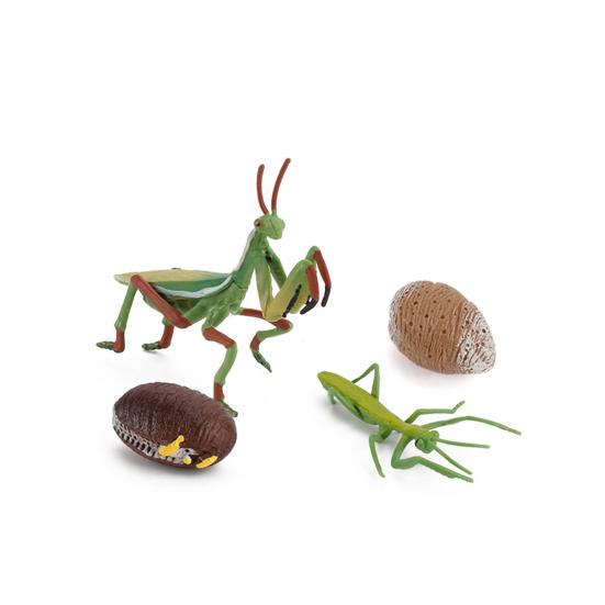 Модель игрушки Образовательный дизайн Раннее моделирование Пластиковые животные Цикл роста Миниатюрный цикл обучения животных