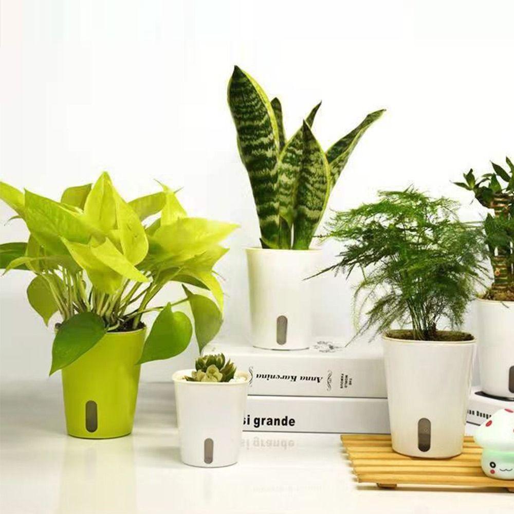 Automatic Living Room Decor Gardening Flower Pots Plastic Soil Cultivation Small Pot Desktop