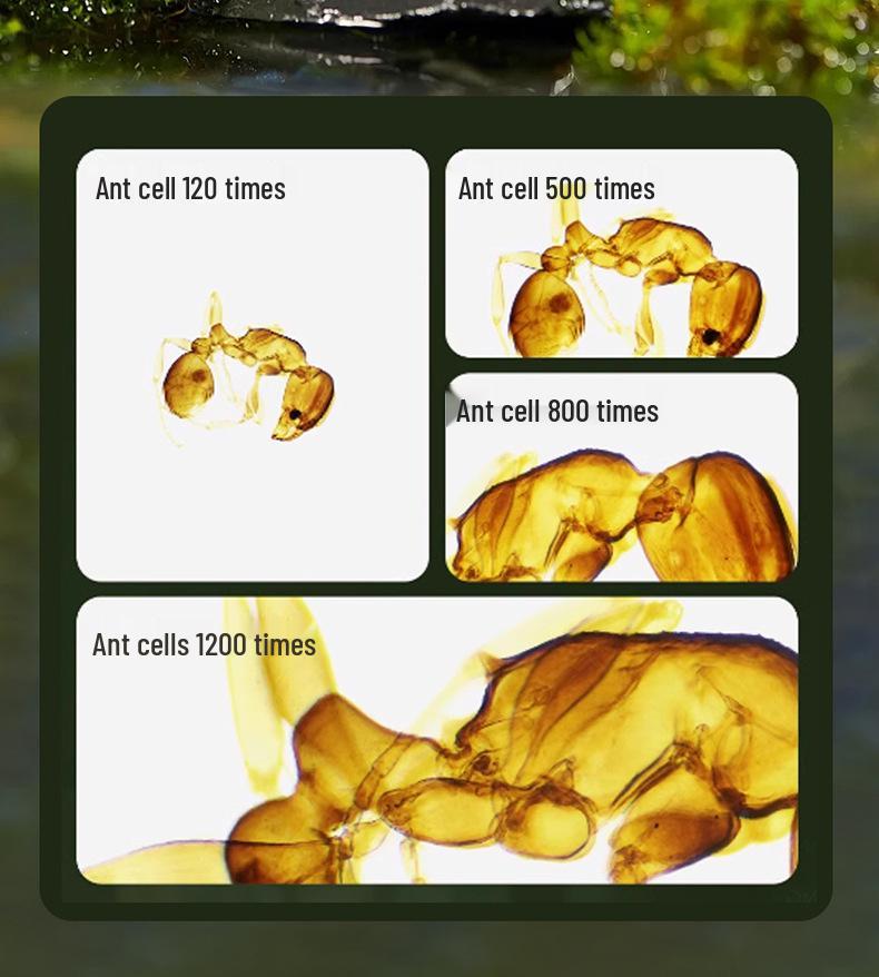 Портативный цифровой микроскоп HD с дисплеем для образовательного использования