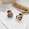 Elegant Headdress Fashion Small Shark Clip Korean Style Hair Clip Acetic Acid Women Hair Claw