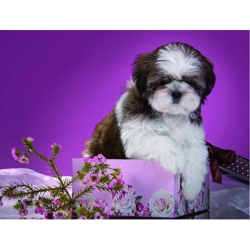 5D DIY алмазная живопись кошка Алмазная вышивка животная ферма вышивка крестиком полная круглая дрель мозаика стразы домашний декор настенный подарок