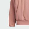 adidas St Fl Hoody Sports Casual Loose Hoodie Men Hoodies Warm-Earth-Brown JN0117
