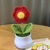 1PC Handmade Weaving Mini Potted Flowers DIY Home Office Desktop Decoration Potted Plants Wool Home Decoration