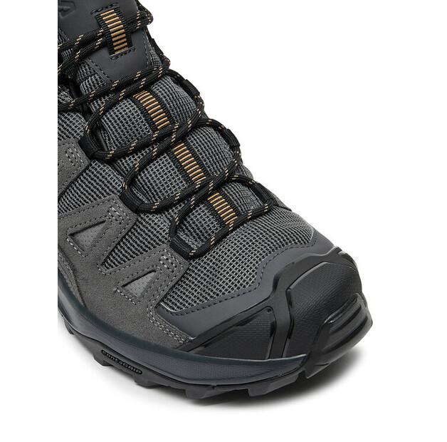 Треккинговые ботинки Salomon X Ultra 360 Leather Mid Gore-Tex