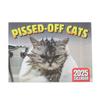 Календарь Angry Cat 2025 28,5x21 см Забавный интересный настенный календарь с изображением кошек для любителей домашних животных