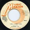 7inch Record JUNIOR CAT - Girl A Shey One NONE Music Master 1988 Jamaica Reggae, Ska & Dub Used