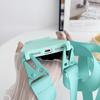 Applicable to iPhone17ProMax mobile phone case Crossbody lanyard Apple 16Pro matte 15 anti-drop 14 protective case