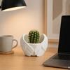 Angel Wings Planter, 3D Printed Decorative Flowerpot, White Feathered Wings Plant Pot for Succulents Small Plants