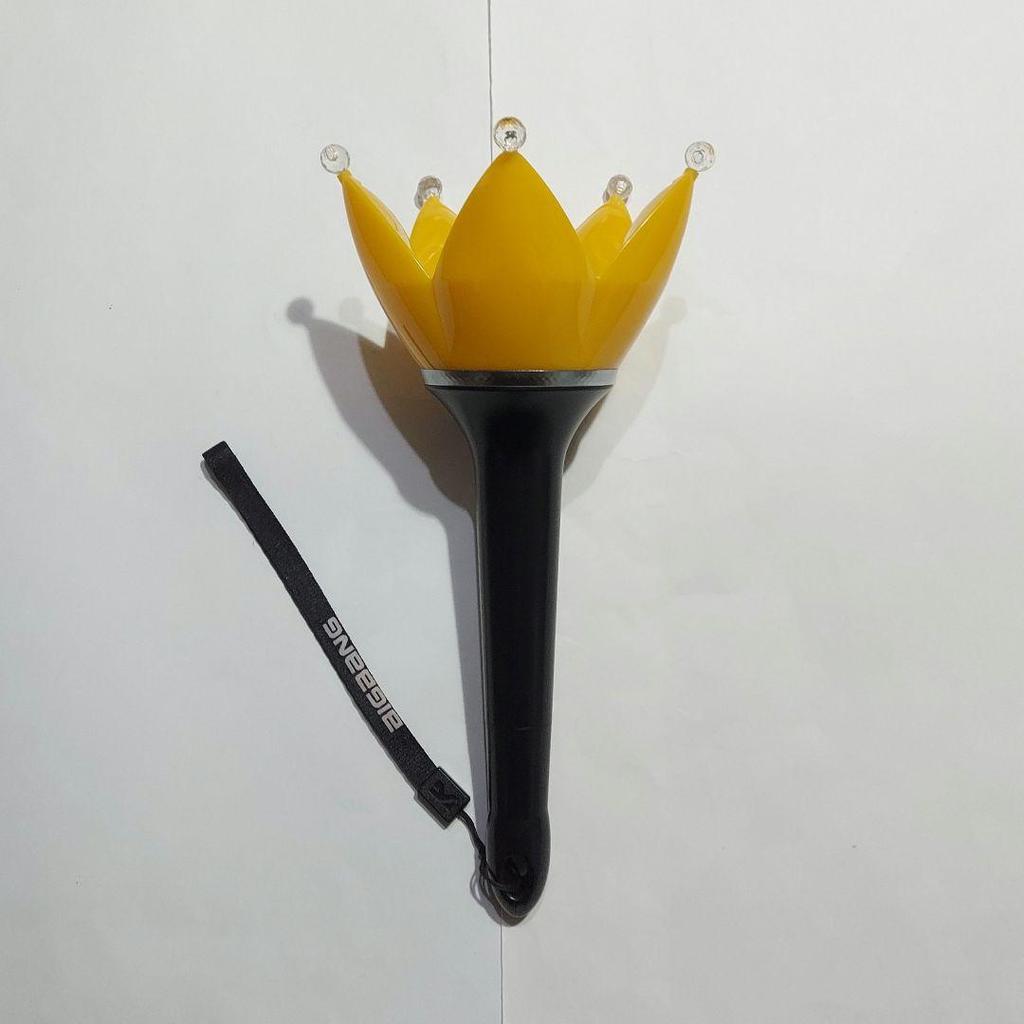 [USED] BIGBANG Big Bang Penlight Ver.4 Penlight Case TOP