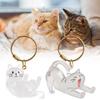 Cartoon Dog Cat Hair Storage Charm For DIY Gift Keychain With Hair Storage Feature In Transparent Cat Dog Hair Cartoon Design