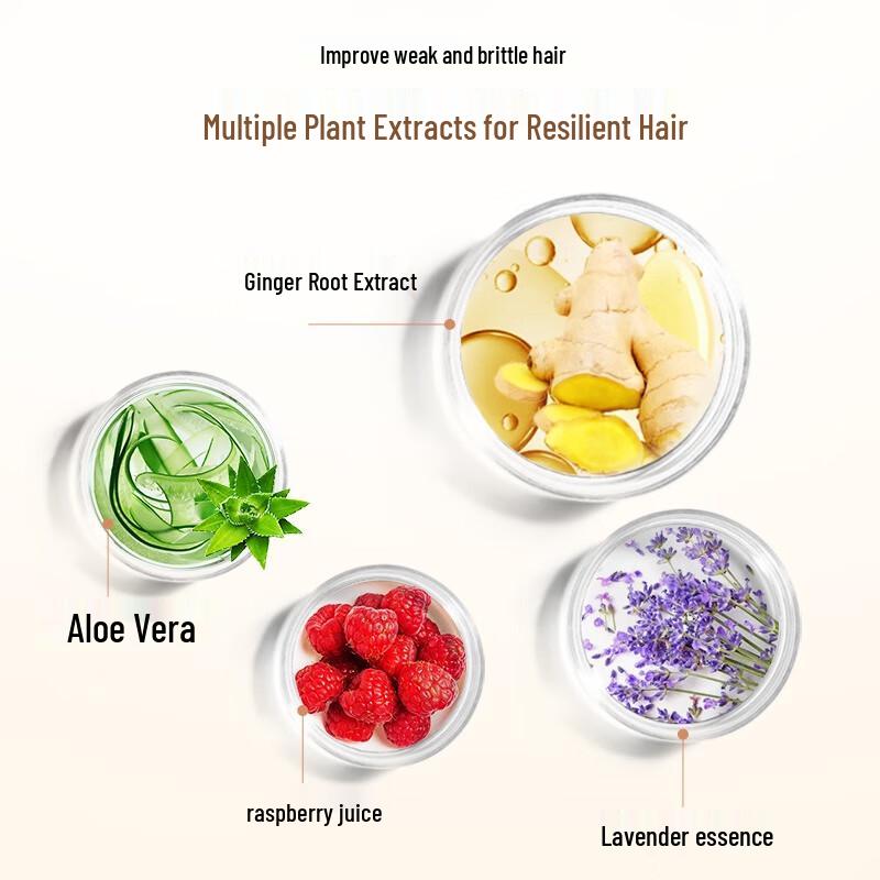 Ziyuan Ginger Root Strengthening & Anti-Hair Loss Conditioner