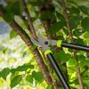 Garden Tree Pruning Shears High Branch Pruning Tool Long Handle Fruit Knife Picker Loppers Sharp Anvil Lopper Pruner Garden Tool