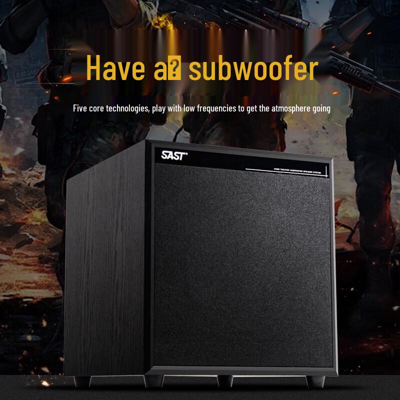 SAST Active Home Theater & KTV Subwoofer