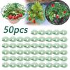 10-50 Pieces Strawberry Stand, Anticorrosive Strawberry Planting Stand, Strawberry Tray with 3 Sturdy Stands, Weatherproof Plastic Strawberry Cage