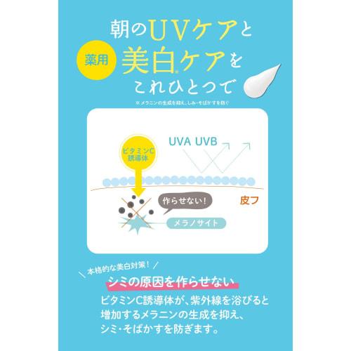 Ishizawa Institute UV Forecast Non-chemical medicated whitening UV cream 40g
