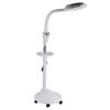LED Cold Light Height Adjustable 8X Magnifying Stand Lamp Tattoo Beauty Light Salon Use