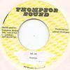7inch Record VICEROYS - Jah Jah Thompson Sound 1980 Jamaica Reggae, Ska & Dub