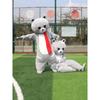 TikTok Style Cartoon Bear Mascot Costume for Adults - Ideal for Promotional Events and Dance Performances