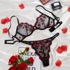 Ultra-Thin Lace Embroidered Lingerie Set - Sexy European & American Style Bra and Panties