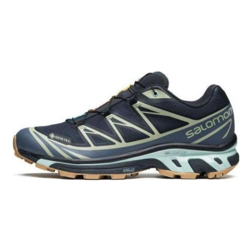 SALOMON Кроссовки XT 6 Gtx 'Carbon Bering Sea' 472918