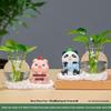 Desktop Decorative Hydroponic Ornaments