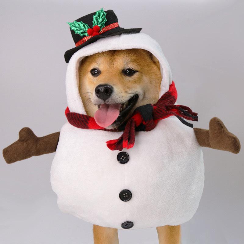 Funny Halloween Pet Dog Polyester Eco-friendly Big Banana Print Cartoon Style Formal Coat for Winter